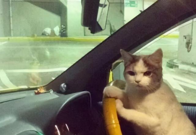 年輕人，別把無痛人流當避孕(圖2)